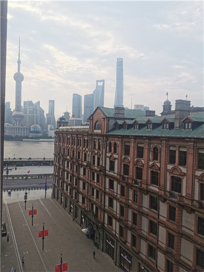 广州市民热衷于抓龙筋小猫咪,探索猫咪世界的魅力 广州市民热衷于抓龙筋小猫咪,探索猫咪世界的魅力
